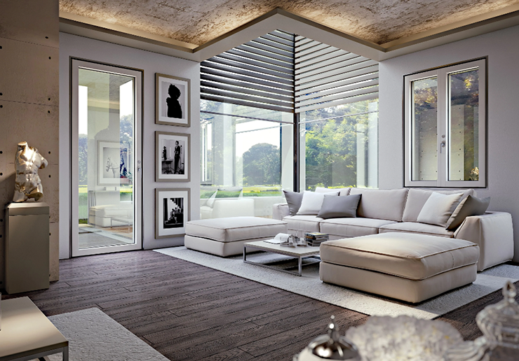 Living Room Windows Aspire